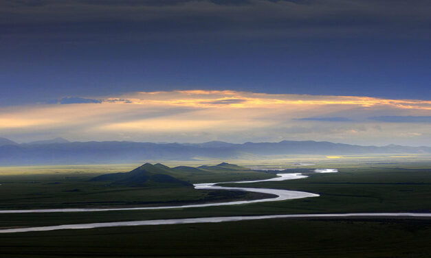 重阳日归途有怀